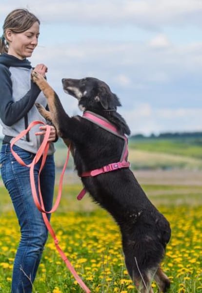 Blume - möchte bei dir erblühen!