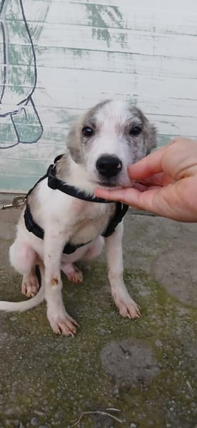 Noname sucht seine Familie