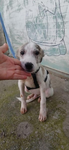 Noname sucht seine Familie