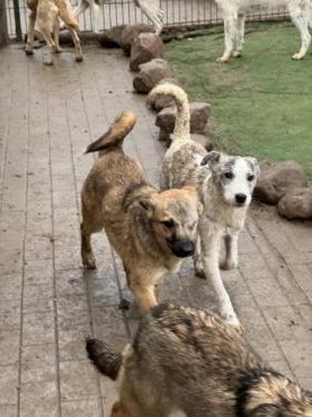 Noname sucht seine Familie