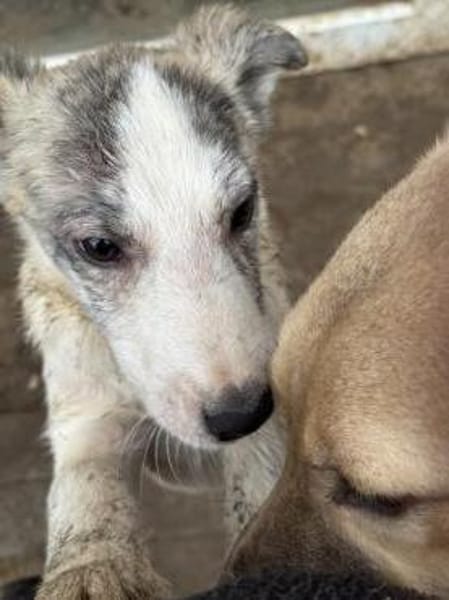 Noname sucht seine Familie