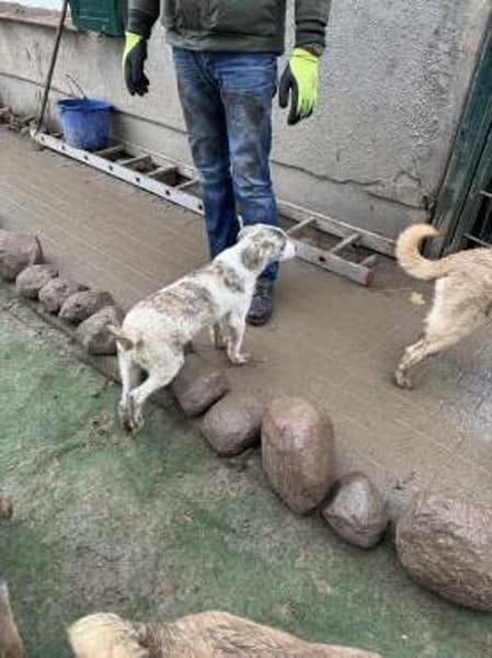 Noname sucht seine Familie