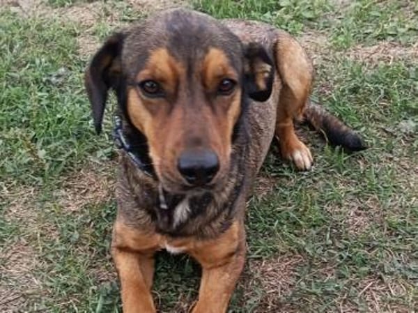 Charmanter Brendon sucht euch