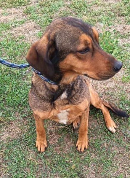 Charmanter Brendon sucht euch