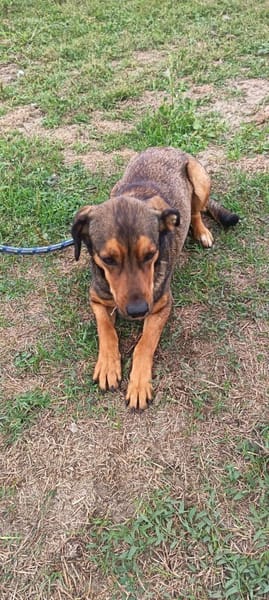 Charmanter Brendon sucht euch