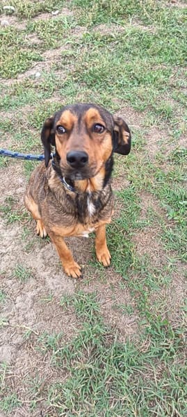 Charmanter Brendon sucht euch