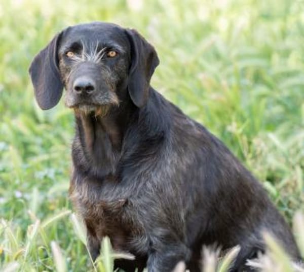 Reina ++sucht dringend++