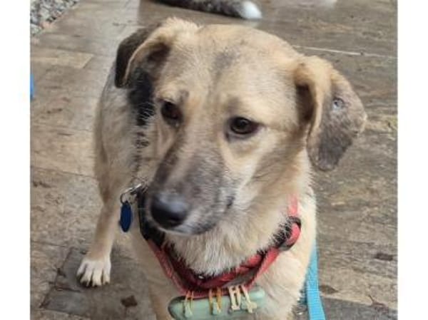 Kirsty - wartet in 96160 Geiselwind