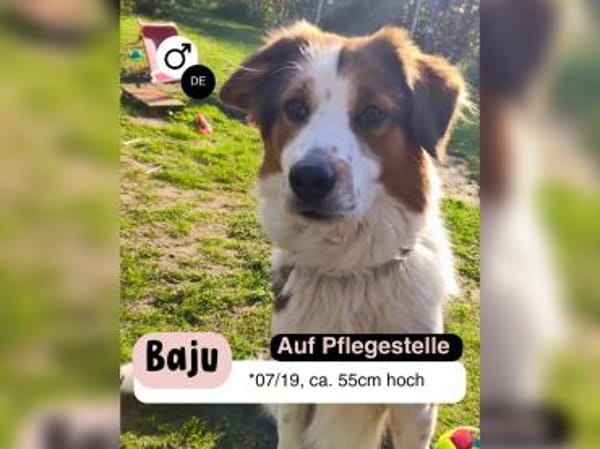 BAJU mit Herz und Charakter