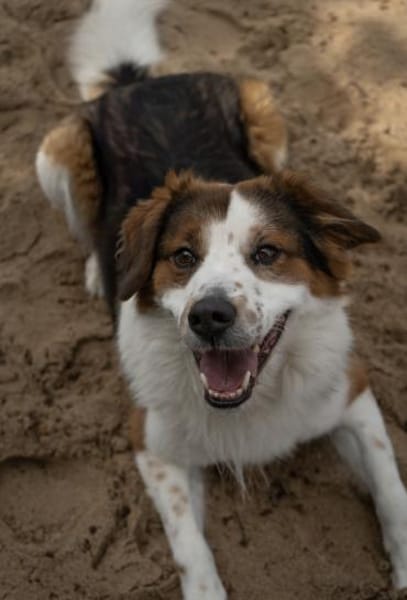 BAJU mit Herz und Charakter