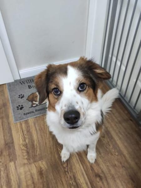 BAJU mit Herz und Charakter