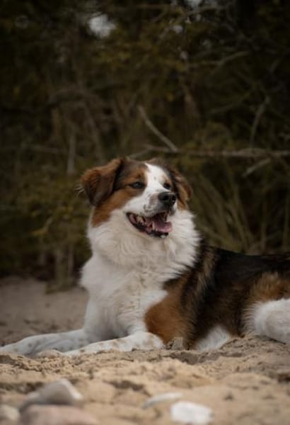 BAJU mit Herz und Charakter