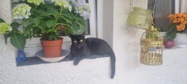 Elba & Ferrara Freundinnen suchen 🏠