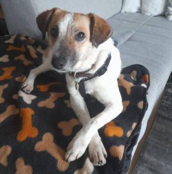 MIRKA sucht Zuneigung