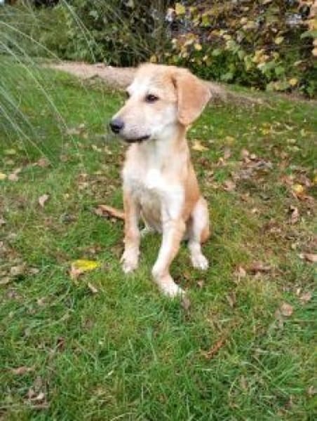 Emma 32 cm (Nov 25) Pfegestelle)