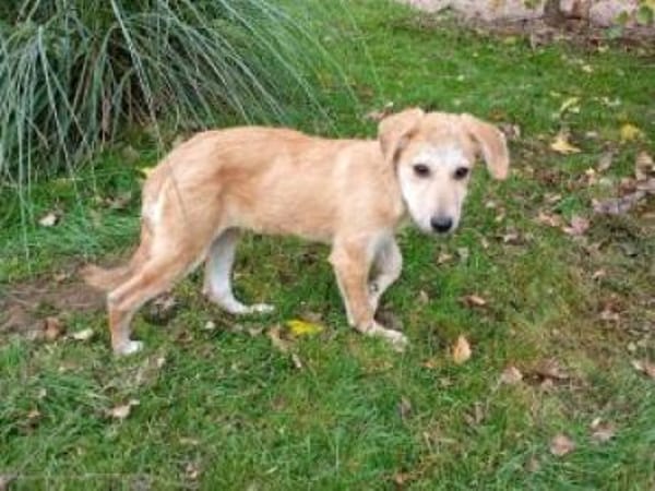 Emma 32 cm (Nov 25) Pfegestelle)