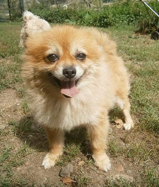 Sunny,Teddybär,sanft