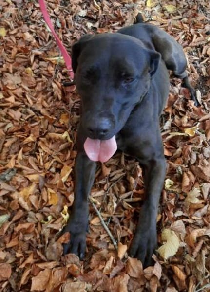 Santal - Lebensfreude pur