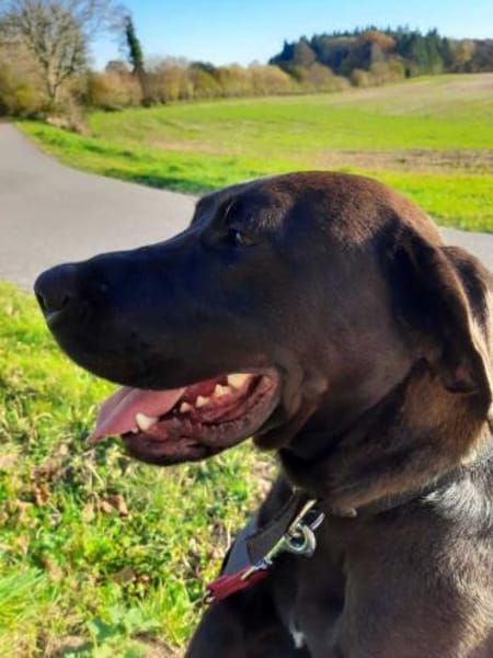 Santal - Lebensfreude pur