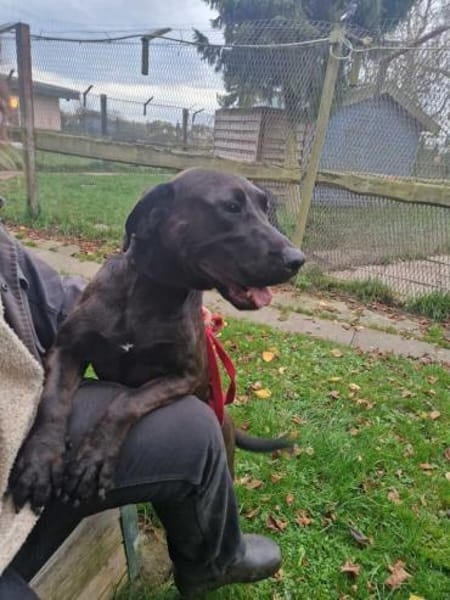 Santal - Lebensfreude pur