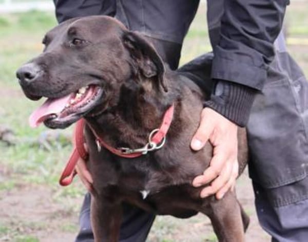 Santal - Lebensfreude pur