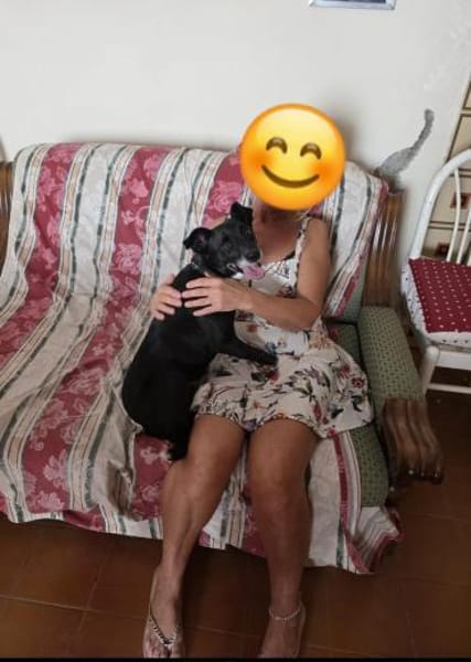 BLACK 💙💙💙 ruhig und anhänglich