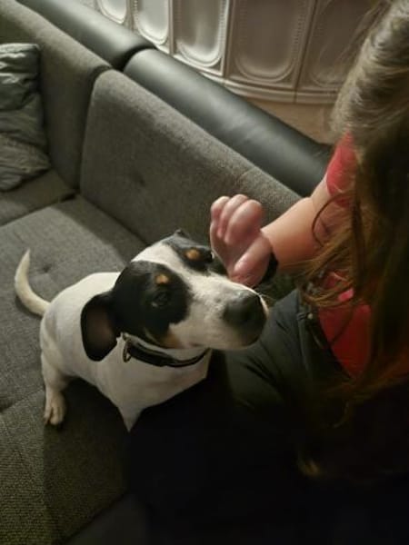 Tufia sucht ihr Sofaglück