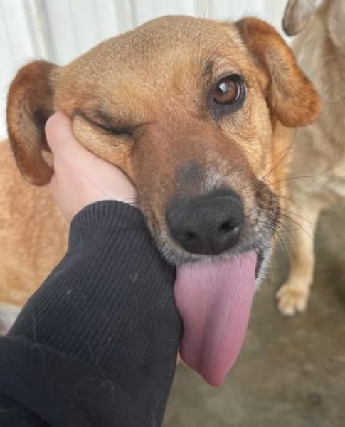 Elly - in 20257 HAMBURG