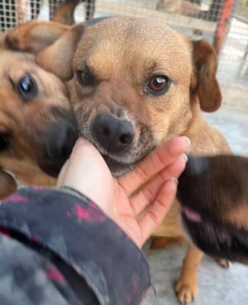 Elly - in 20257 HAMBURG