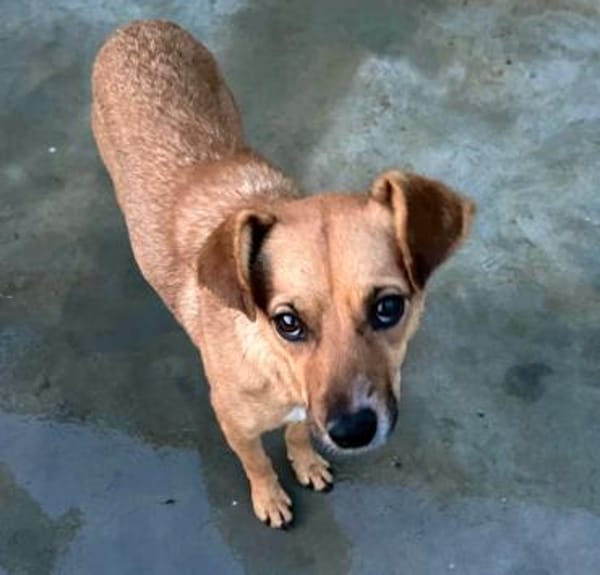 Elly - in 20257 HAMBURG