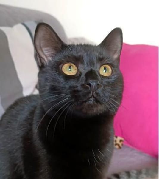 Beat + Saffron - unser Dreamteam