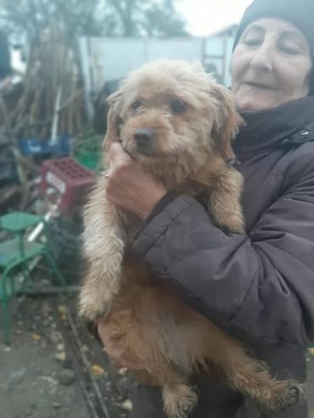 Gipsy hatte großes Glück !