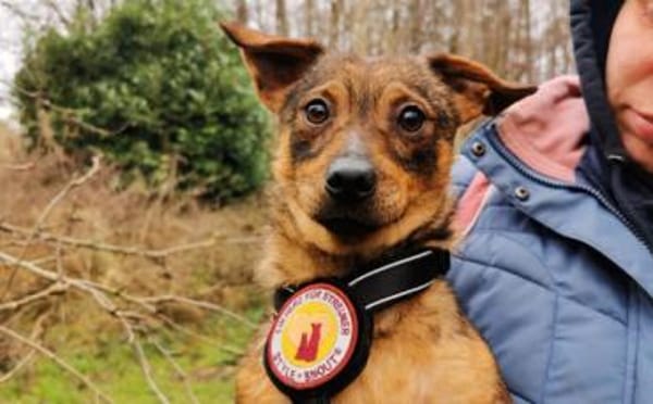 Kecks - unser kleiner Superheld