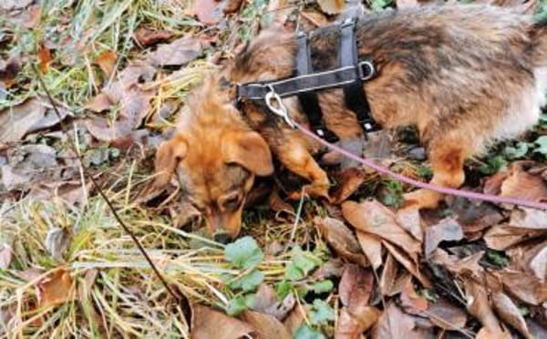 Kecks - unser kleiner Superheld