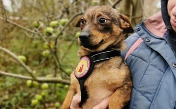 Kecks - unser kleiner Superheld