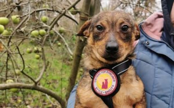 Kecks - unser kleiner Superheld