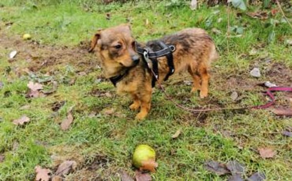 Kecks - unser kleiner Superheld