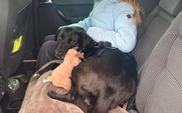 Verliebst du dich in Rajani?