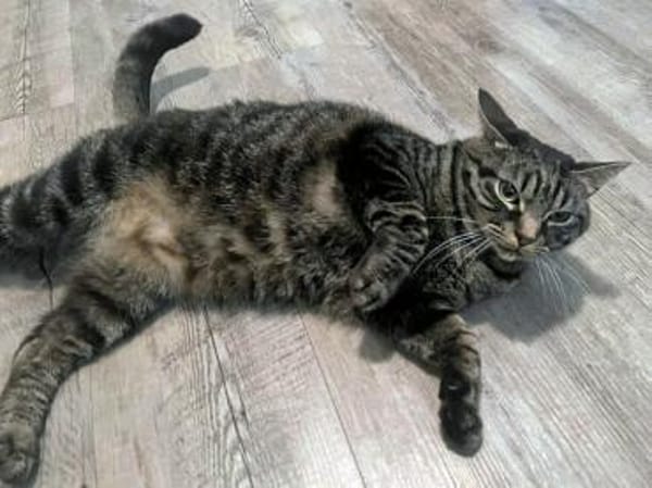 Arnaldo hofft auf seine zweite Chance