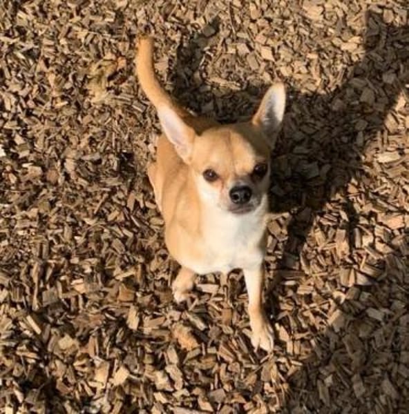 DRINGEND! Horus muss umziehen!