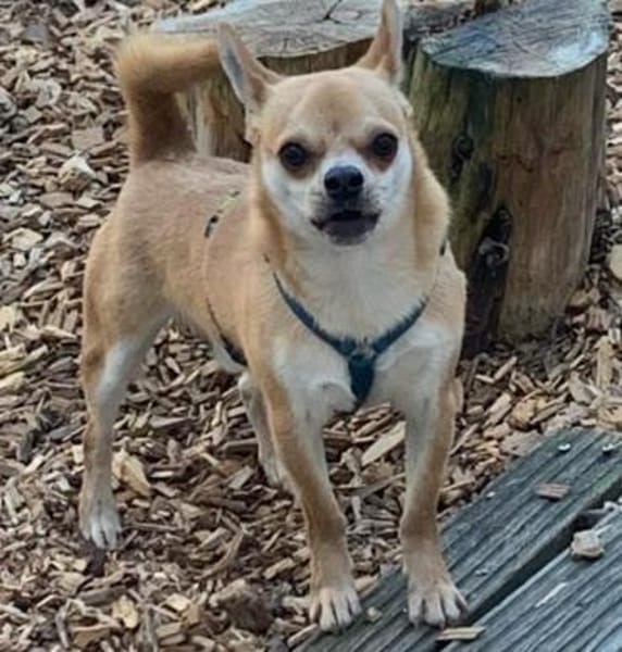 DRINGEND! Horus muss umziehen!