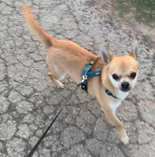 DRINGEND! Horus muss umziehen!