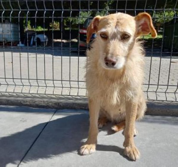 BECKY ❤ wartet auf lieben Besuch