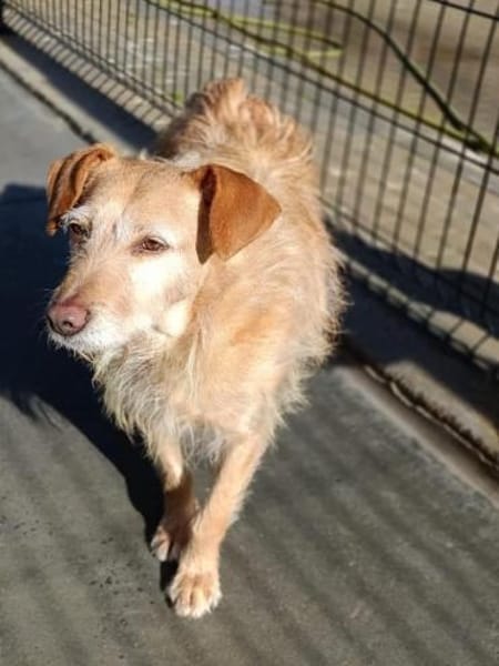 BECKY ❤ wartet auf lieben Besuch