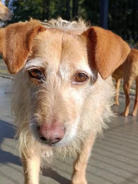 BECKY ❤ wartet auf lieben Besuch