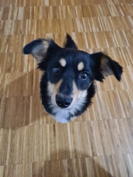 BAJA - ich liebe Bewegung