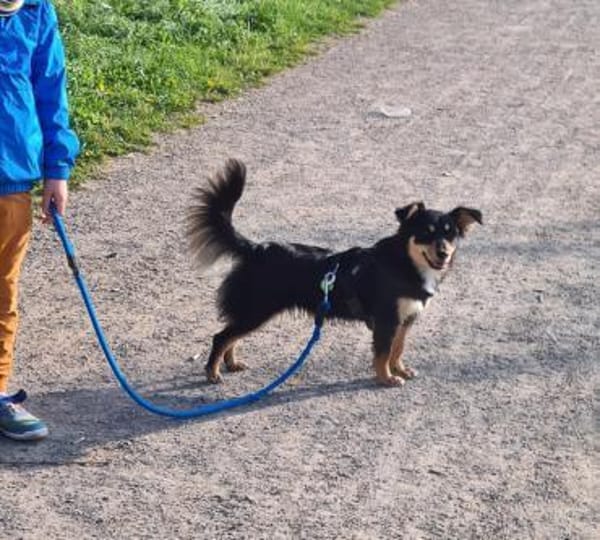 BAJA - ich liebe Bewegung