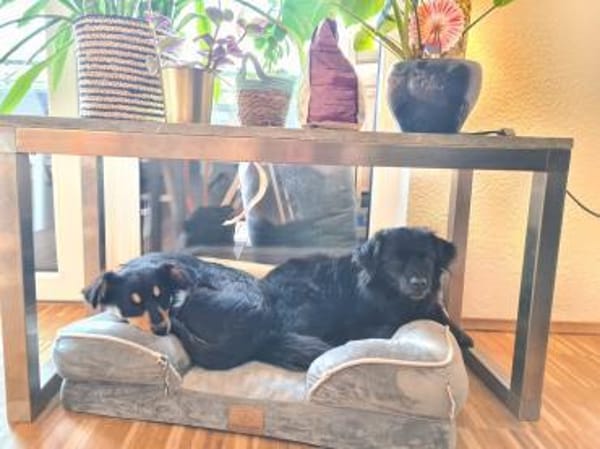 BAJA - ich liebe Bewegung