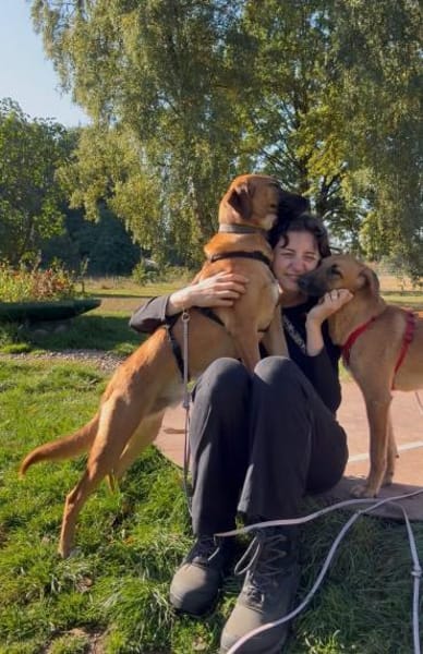 Pete-Junghund sucht sein erstes Zuhause