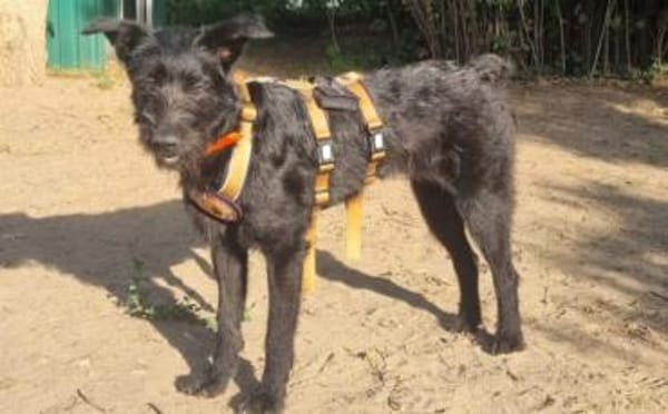 Hat sich Pineta in dein Herz geschlichen